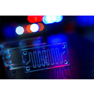 In Vitro Diagnostics